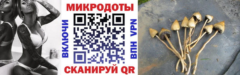 Купить закладки  Кубинка  Псилоцибиновые грибы Psilocybine cubensis 